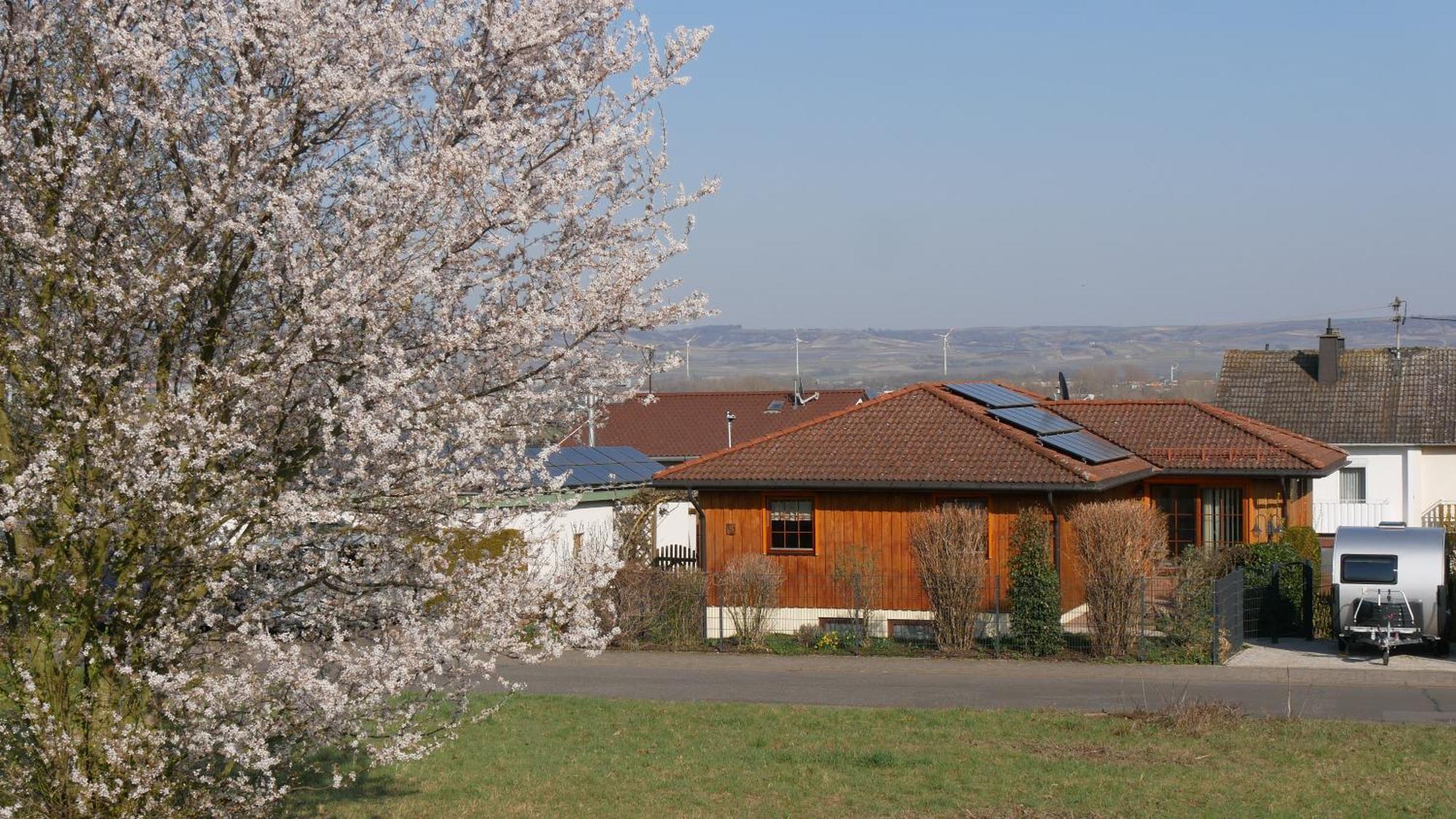 Langenlonsheim Ferienwohnung An Den Weingaerten מראה חיצוני תמונה